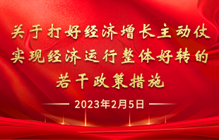 关于打好经济增长主动仗实现经济运行整体好转的若干政策措施